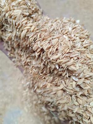 货源充足 散装稻壳厂散装稻壳稻壳粉 饲养垫料 五二种植
