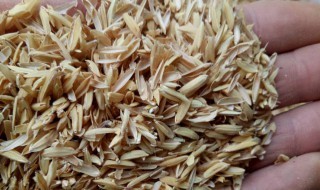 稻壳和米糠的区别