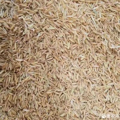 [压缩稻壳稻壳,压缩稻壳,酿酒除尘过筛壳,养殖种植,铺垫,常年可供价格650吨