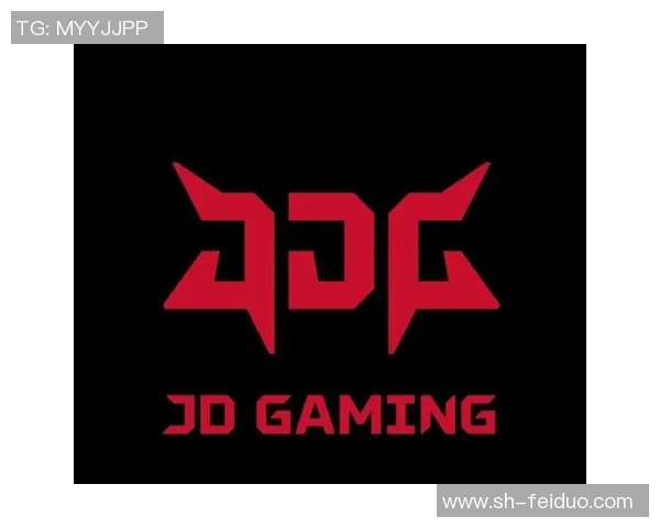 聚焦英雄联盟：JDG战队耐力与持久战的深度解析与思考
